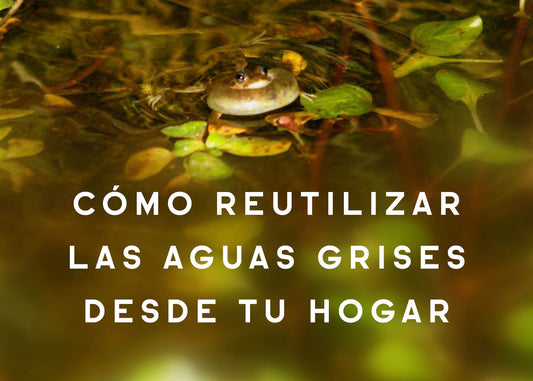 Cómo reutilizar las aguas grises de tu hogar