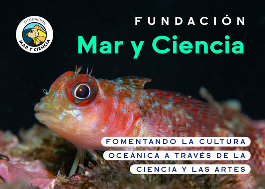 Fundación Mar y Ciencia, Fomentando la cultura oceánica a través de la ciencia y las artes