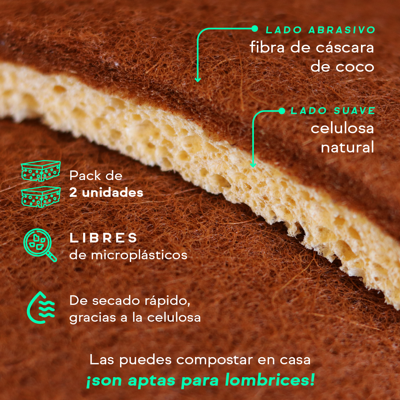 ESPONJAS ECOLÓGICA DE COCO