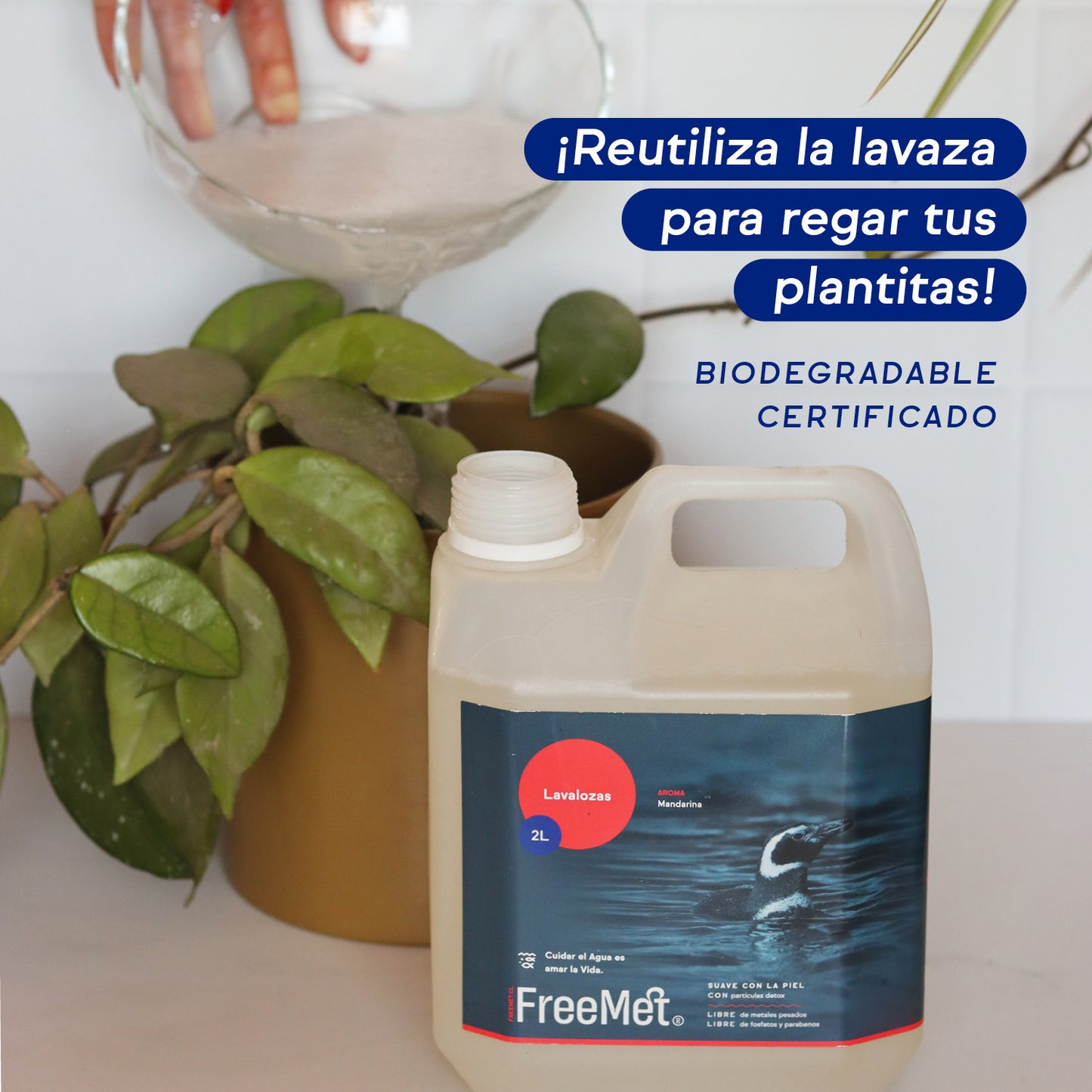 LAVALOZA 2L