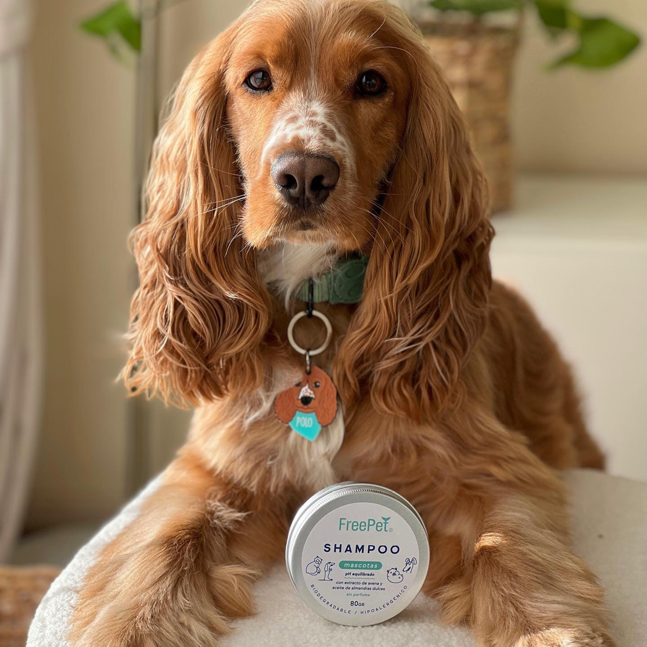 SHAMPOO PIEL SENSIBLE PARA MASCOTAS