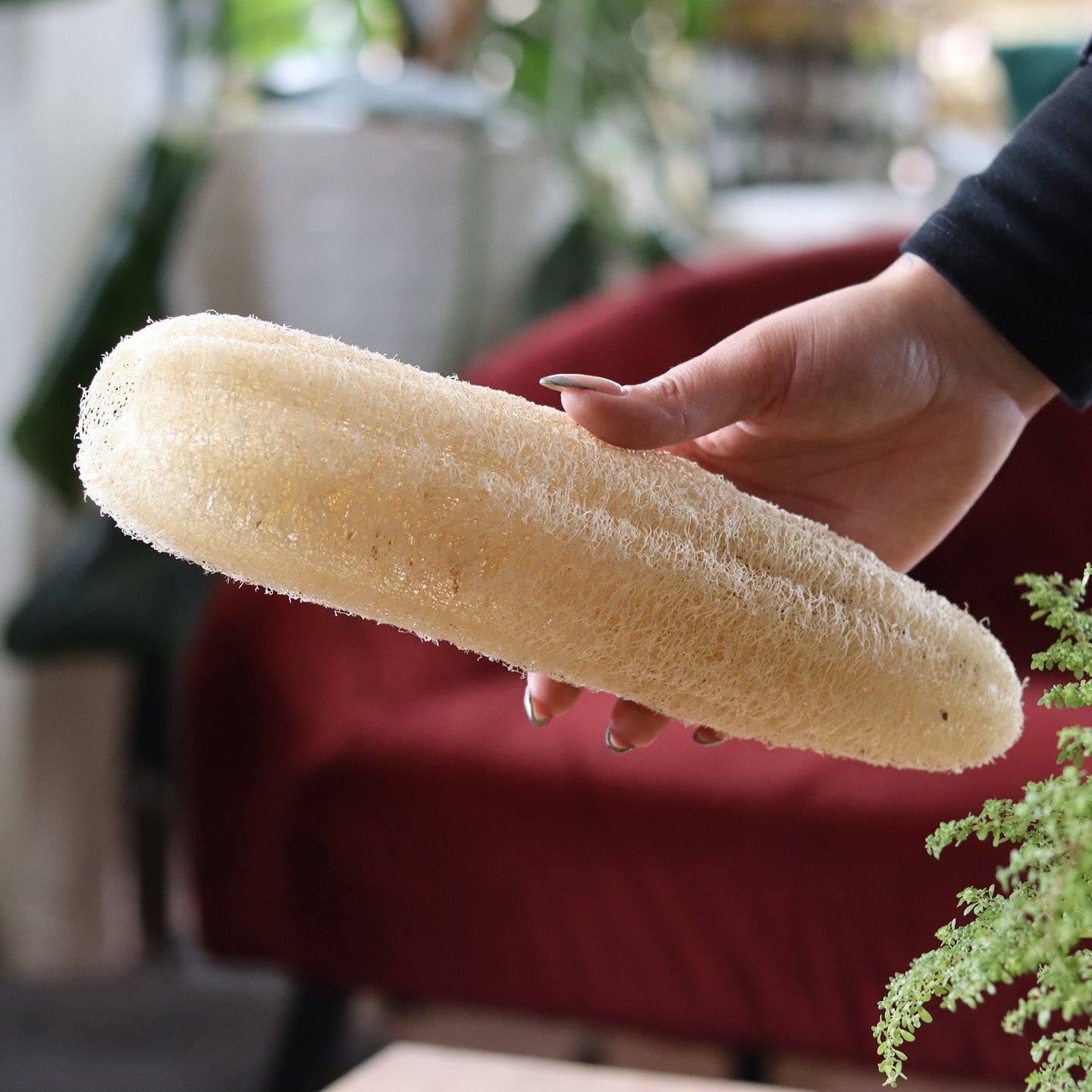 LUFFA