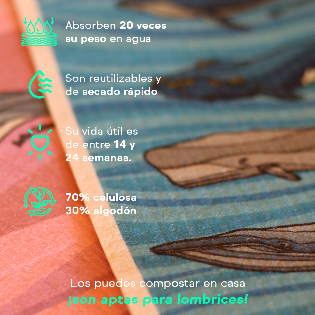 PAÑO ESPONJA COMPOSTABLE