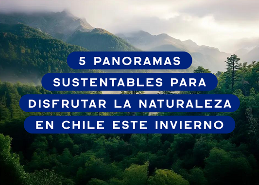 5 panoramas sustentables para disfrutar la naturaleza en Chile este invierno