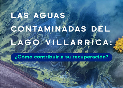 Las aguas contaminadas del Lago Villarrica: ¿Cómo contribuir a su recuperación?
