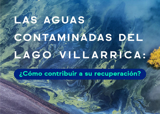 aguas contaminadas lago villarrica