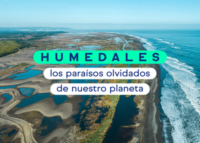 Humedales, los paraísos olvidados de nuestro planeta