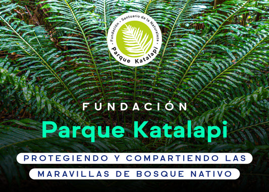 Fundación Parque Katalapi, Protegiendo y compartiendo las maravillas del bosque nativo
