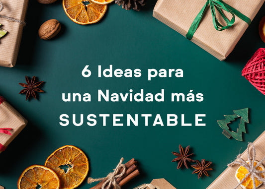 6 Ideas para una Navidad más Sustentable