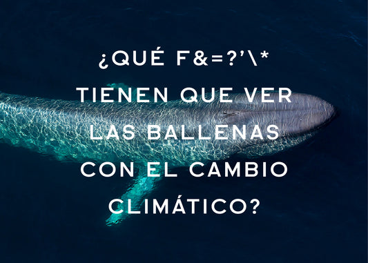 ¿Qué f&=?’\* tienen que ver las ballenas con el cambio climático?
