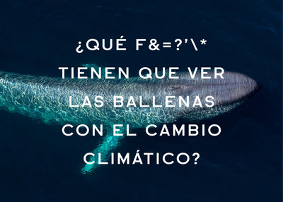 ¿Qué f&=?’\* tienen que ver las ballenas con el cambio climático?