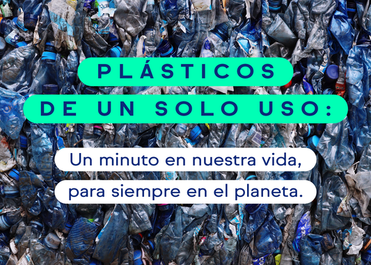 Plásticos de un solo uso: un minuto en nuestra vida, para siempre en el planeta