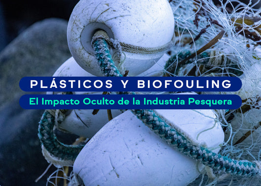 Plásticos y Biofouling: El Impacto de la Industria Pesquera