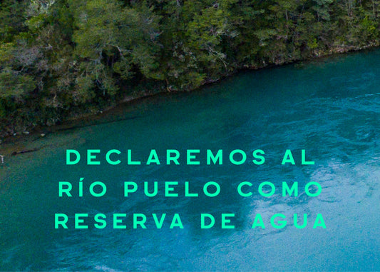 Declaremos el Río Puelo como Reserva de Agua