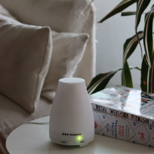 DIFUSOR - HUMIDIFICADOR BRUMA ELÉCTRICO