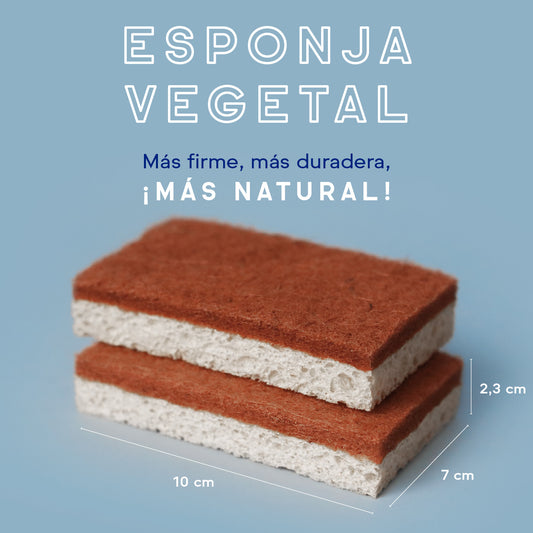 Esponjas fibra de sisal y celulosa