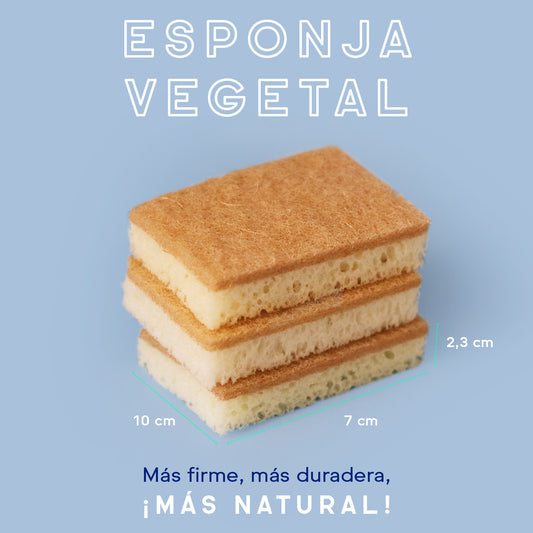 Esponjas fibra de sisal y celulosa