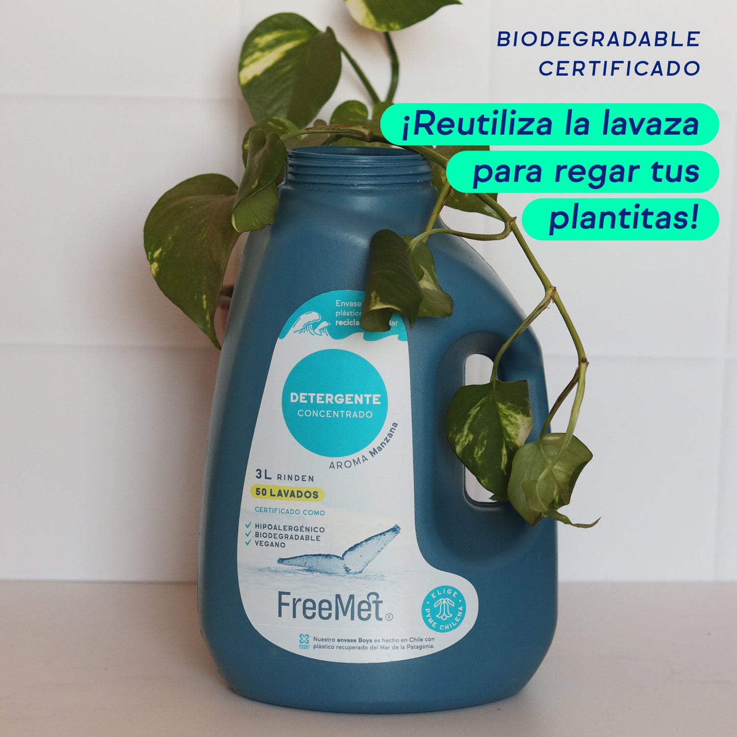 DETERGENTE CONCENTRADO 3L