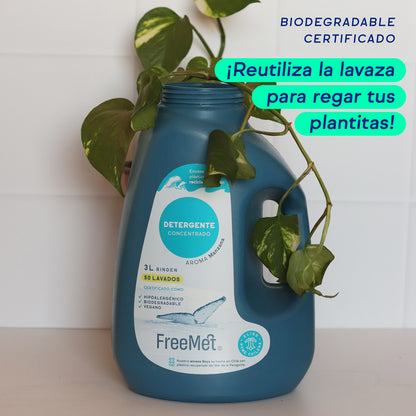 DETERGENTE CONCENTRADO 3L