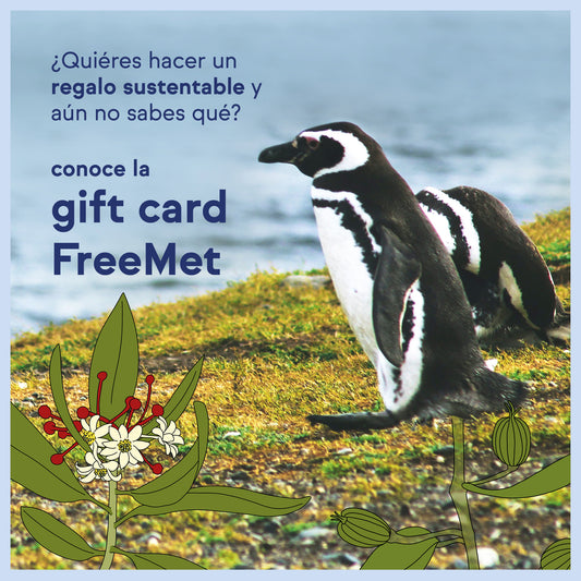 Gift Card! Regala algo especial 💙